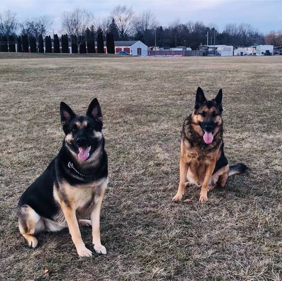 Meet your Posher, Russell - Picture 1 of 1